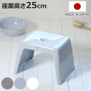 風呂椅子 リアロ 25cm 日本製 ( 風呂イス 風呂いす 風呂 お風呂 いす イス 椅子 抗菌 銀 Ag 防カビ 25 バスチェア 腰掛け 浴室 滑り止め A...