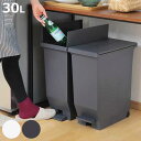 ゴミ箱 30L エバン 両開きペダルペール ( ごみ箱 30リットル ダストボックス 両開き 棚下 スリム キッチン 分別 ふた付き おしゃれ カップボード カ...