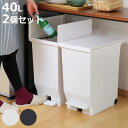 ゴミ箱 40L 同色2個セット エバン 両開きペダルペール （ 45リットルゴミ袋対応 40リットル ごみ箱 両開き 棚下 スリム ふた付き 分別 キッチン 高さ制限 カップボード カウンター下 収納 ホワイト ブラック ）【3980円以上送料無料】