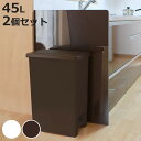 ゴミ箱 45L 同色2個セット エバン ペダルペール ふた付き ( ごみ箱 ペダル式 45リットル 分別 蓋つき プラスチック フタ付き 足踏み 3分別 ダスト...