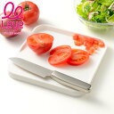 フチ付きまな板 ミニ leye レイエ 食洗機対応 日本製 ( プラスチックまな板 まないた 俎板 両面 白 フチ付き 肉汁 果汁 こぼれにくい 正方形 小さめ 下ごしらえ 便利 軽い キッチンツール 調理道具 シート付き )【3980円以上送料無料】