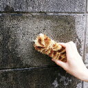 角までコケ無いたわし ロング 清掃用品 ( たわし 苔落とし コケ 束子 ベランダ ガレージ 壁 屋外掃除 コンパクト ハンディ 掃除用品 掃除グッズ )【3980円以上送料無料】