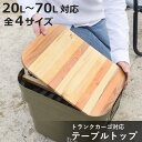 木天板 トランクカーゴ 対応 テーブルトップ 20L 30L 50L 70L ( パーツ テーブル 天板 ロール式 木製 天然木 天板のみ 収納袋付き ロールテ...