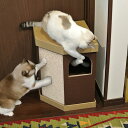 キャットハウス 2階建て またたび 爪とぎ付き 猫 nekoto コーナースクラッチハウス （ ネコ ねこ 猫用品 爪とぎ 屋内 室内 猫用 ハウス 家 ベッド ネコハウス つめとぎ 爪砥ぎ 爪 とぎ 爪磨き つめ ダンボール コーナー用 軽量 ） 【3980円以上送料無料】