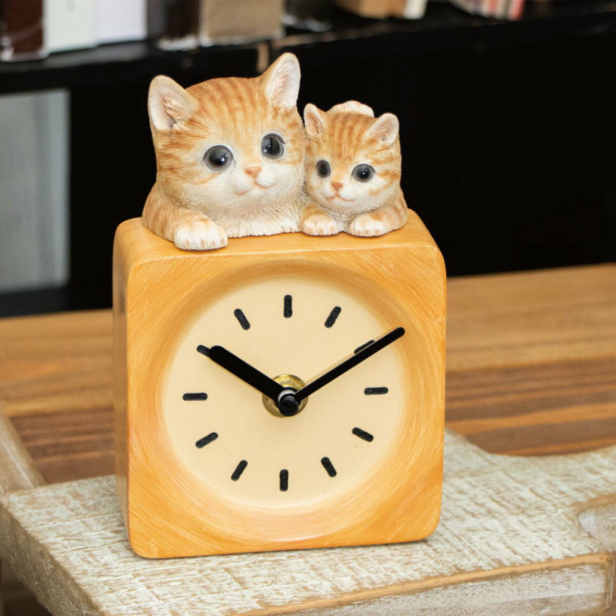 ֻ ٥ˡå å ͥ   ʥ ֤ 襤 ǭ ȥ ֥  ѥ İ ӥ...