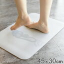珪藻土配合ソフトバスマット 45×30cm 珪藻土バスマット 珪藻土 バスマット やわらかい ( マット 珪藻土マット 足ふきマット 柔らかい 抗菌 割れない 丸めて収納 洗える 速乾 吸収 洗面マット 省スペース コンパクト 45 30 ) 【3980円以上送料無料】