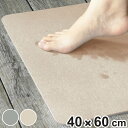 珪藻土 バスマット 40×60cm ソフトバスマット シービージャパン ( 足元マット ソフト お風呂 マット バスグッズ 抗菌 珪藻土マット 調湿 40×60...
