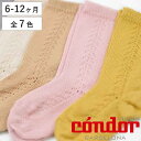 C condor qp 6`12 Warm cotton knee socks with side openwork i Rh xr[ qpC LbY TChI[v[N j[\bNX  v XyC jy3980~ȏ㑗z