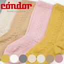 C condor qp 12`18 Warm cotton knee socks with side openwork i Rh qpC LbY \bNX  nC\bNX v qǂpC  LbY\bNX jy3980~ȏ㑗z