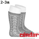 靴下 condor 子供用 2歳〜3歳 Metallic yarn openwork knee socks ( コンドル 子ども用靴下 子供用靴下 キッズ ソッ...