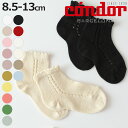 靴下 condor 子供 8.5cm~13cm サイド オープンワーク パール ショートソックス ( コンドル ソックス ベビー用靴下 ベビー キッズ くつ下 くつした 綿 コットン 丈夫 8.5 9 9.5 10 10.5 11 11.5 12 12.5 13 cm )【3980円以上送料無料】