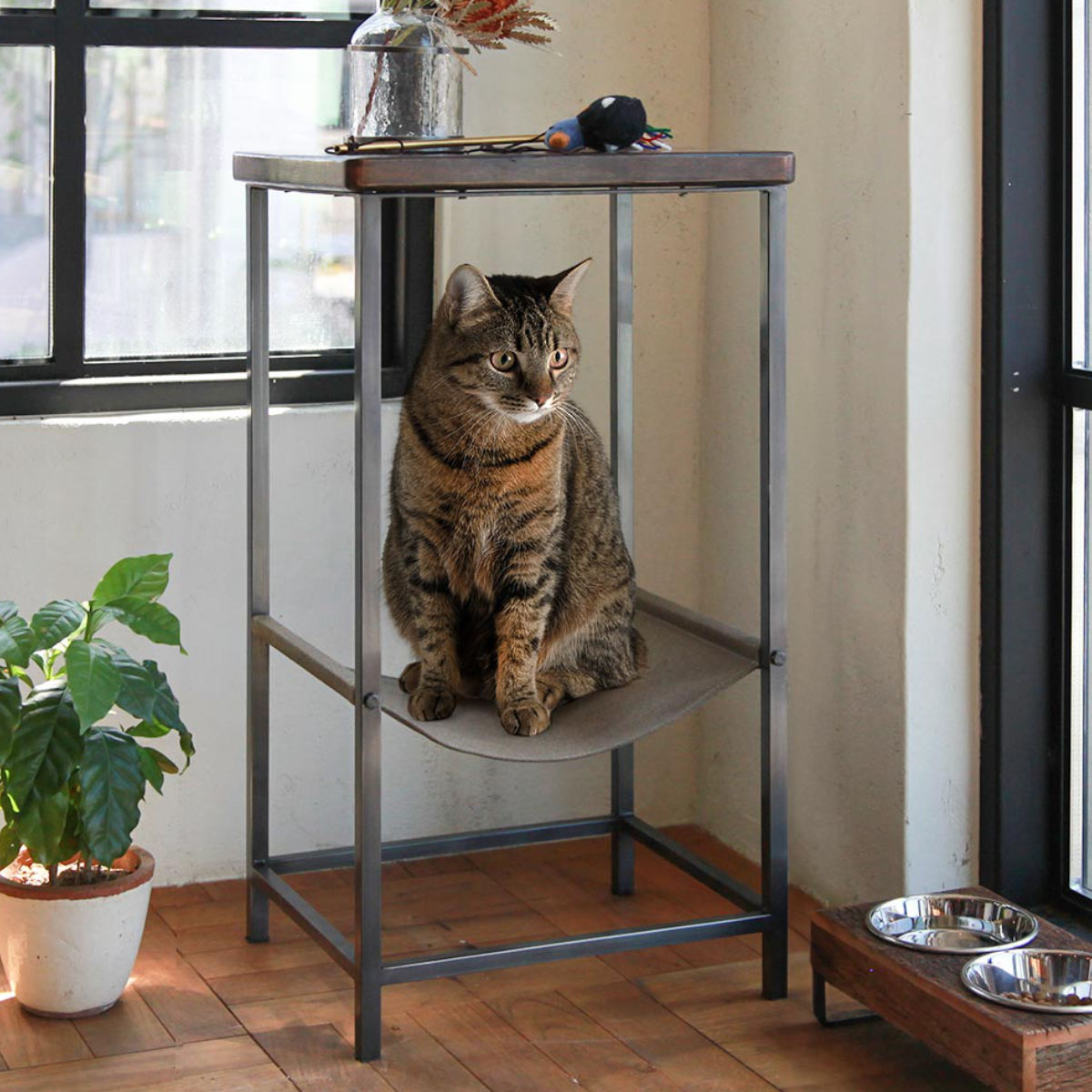 テーブル 猫 ハンモックテーブルHIGH （ サイドテーブル ハンモック ペット ベッド 小物収納 アイアン おしゃれ 机 猫ベッド ペットベッド 猫用 ペット用 気持ちいい 心地いい インテリア ）【3980円以上送料無料】