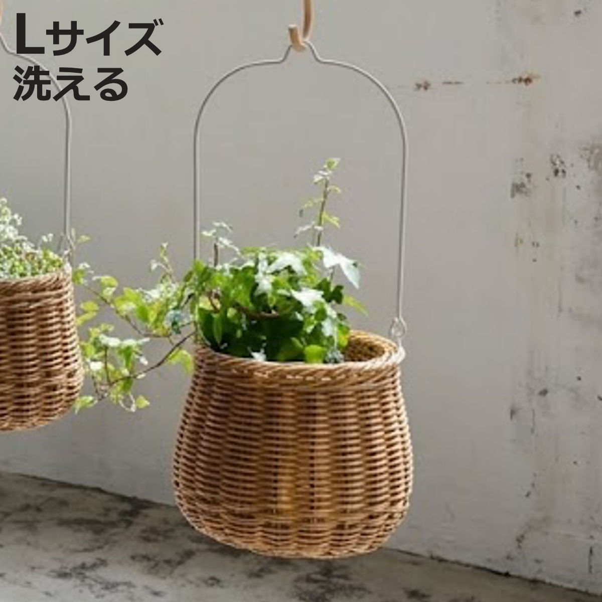 楽天市場】小物 ケース（植木鉢・プランター｜ガーデニング・農業