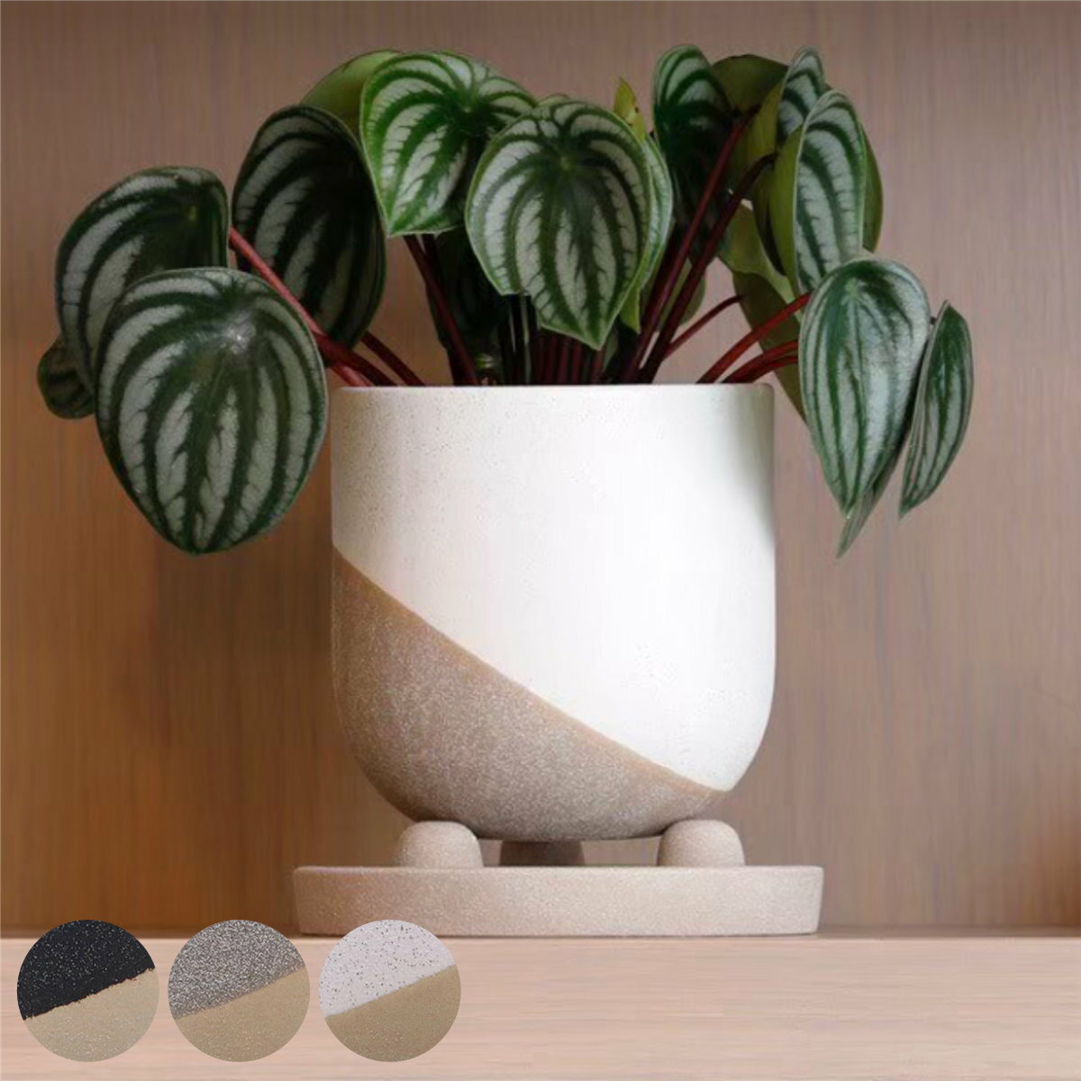 植木鉢 レヒーポット Dタイプ 受け皿付き （ フラワーポット プラントポット プランターポット 鉢 鉢植え 陶器 インテリア 植え替え おしゃれ 観葉植物 多肉植物 サボテン 園芸 受け皿 水抜き穴 ）【3980円以上送料無料】