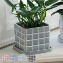 植木鉢 テグラポット A 受け皿付き ( フラワーポット プラントポット プランターポット 鉢 鉢植え 陶器 インテリア 植え替え おしゃれ 観葉植物 多肉植物...