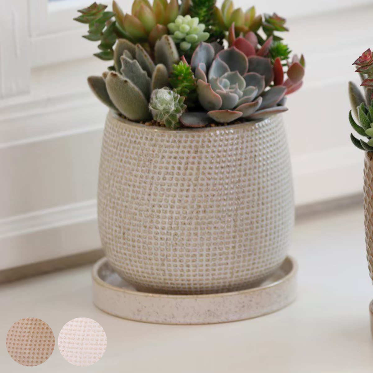 植木鉢 ニードポット Bタイプ Lサイズ 受け皿付き （ フラワーポット プラントポット プランターポット 鉢 鉢植え 陶器 陶器製 インテリア 植え替え おしゃれ 観葉植物 多肉植物 サボテン 園芸 受け皿 水抜き穴 ナチュラル ）【3980円以上送料無料】