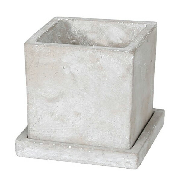 �ץ�󥿡�����ȥ� DULTON ����å� �ץ�󥿡� ���塼�� L �ץ졼�� �� ����ȭ ȭ �ݥå� ������� �� ���� ���� ������ �����դ� ���� ���� ������� ����ե� ����ƥꥢ ����ѥ��� �ͳѷ� �ѷ� �ˡ�3980�߰ʾ�����̵����