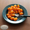 アウトドア 食器 お皿 ダルトン DULTON 直径20.6cm ( アウトドア食器 キャンプ食器 プレート 皿 ホーロープレート ホーロー 臭い 付きにくい 汚れ 落ちやすい 耐久性 普段使い キャンプ ) 【3980円以上送料無料】