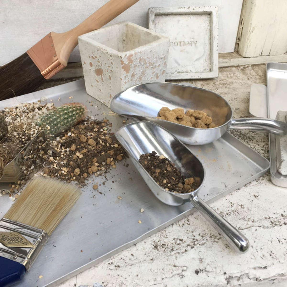 ダルトン スコップ アルミ M （ ガーデニング用品 ハンド スクープ 園芸用品 シャベル 移植ゴテ シンプル おしゃれ ガーデンツール 庭 植物 入れ替え 土 掘る いじり フードスクープ フードスコップ 猫 犬 ）【3980円以上送料無料】