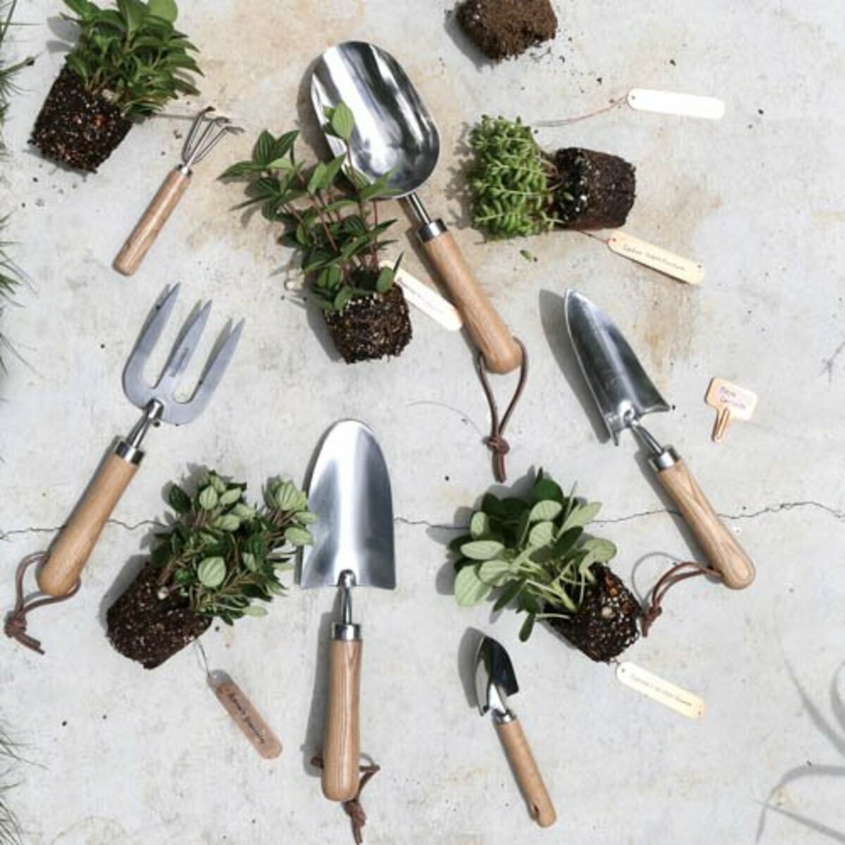 ����ȥ� DULTON �����ǥ�ե����� �����ǥ˥����� �ϥ�ɥե����� ������� �� ����ѥե����� ���� ����ץ� �����ǥ�ġ��� �� ��ʪ �����ؤ� �� ���� ������ ������� ���ƥ�쥹 �ˡ�3980�߰ʾ�����̵����