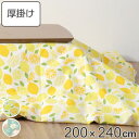 こたつ布団 厚掛け 200×240cm 長方形 日本製 綿100% 消臭 こたつ 布団 ( 送料無料 コタツ布団 こたつ掛け布団 こたつふとん 炬燵 コタツ 抗...