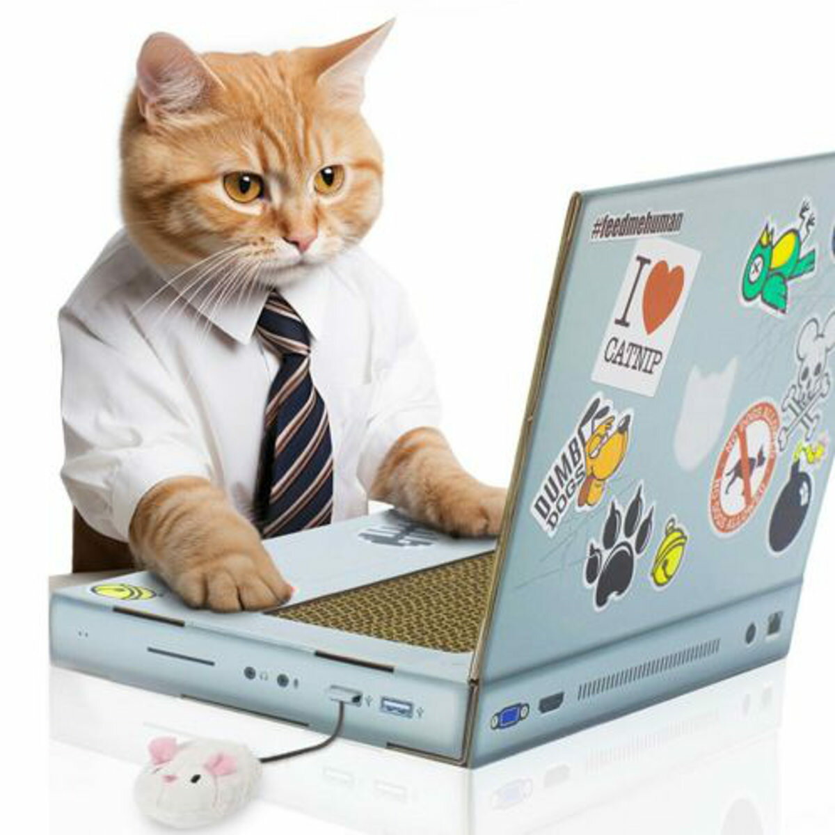 爪とぎ SUCK UK キャットスクラッチャー LAPTOP ( 爪研ぎ つめとぎ 猫用 爪とぎマット 段ボール ストレス解消 遊び おもちゃ かわいい 爪磨き...
