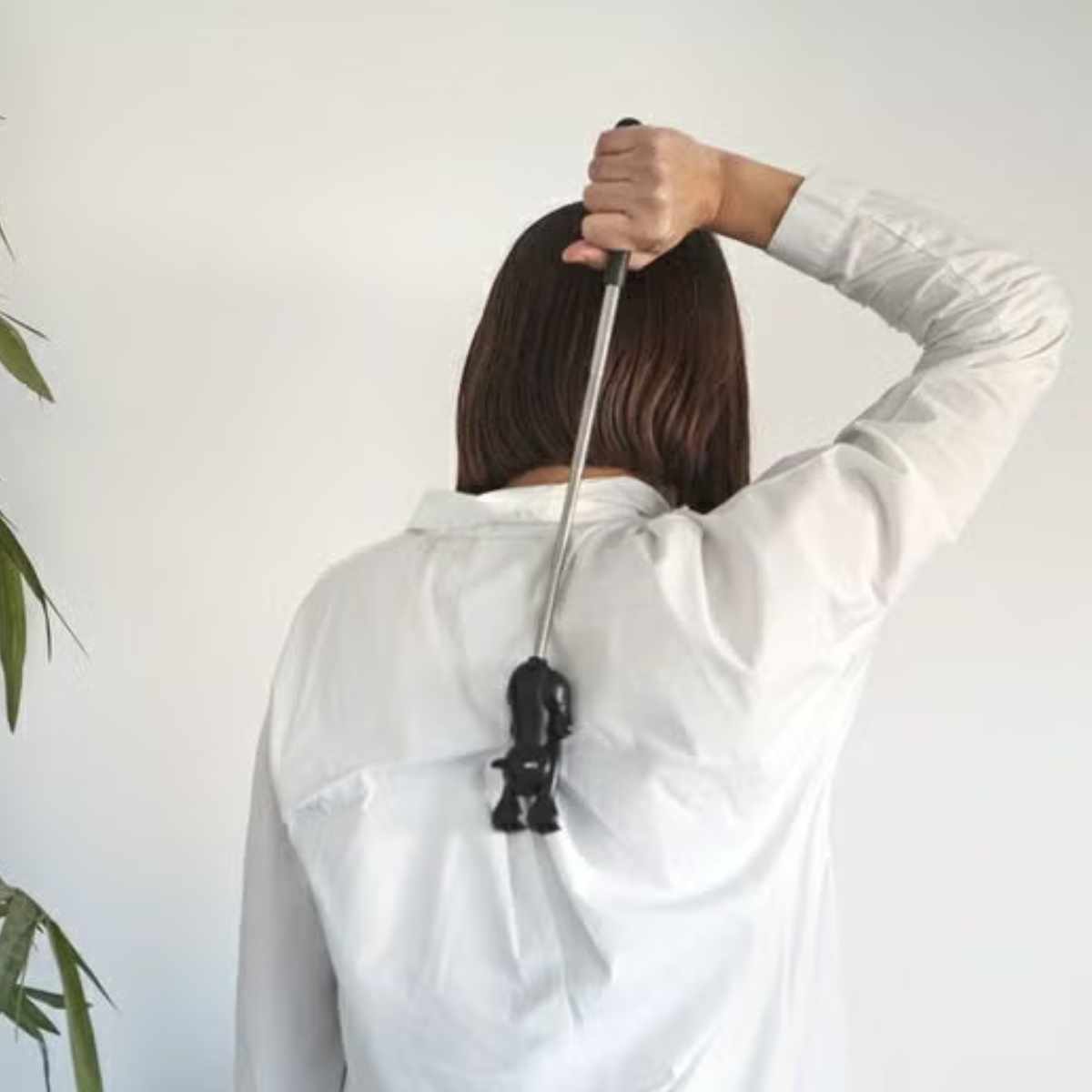 balvi ���椫���� ǭ�μ� �Хå�������å��㡼 ����å� ¹�μ� �� �Х�� ���̼� �ޤ��μ� ���椫�� ���Ӥ� ǭ �ͤ� �ͥ� ���襤�� ���� �ޥå����� ����������� ���㤵�� ��Ϸ���� �ץ쥼��� �ˡ�3980�߰ʾ�����̵����