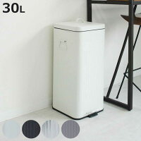ゴミ箱 30L Galva ペダル式 ( ごみ箱 30リットル ペダルペール 幅27 分別 角型 ふた付き スリム スチール レトロ バケツ型 ダストボックス インナーバケツ付 縦型 ホワイト ブラック シルバー おしゃれ )