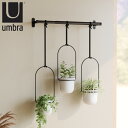 プランター Umbra トリフローラ ハンキングプランター ( ハンギングポット ハンギング 吊り下げ 植木鉢カバー 植木鉢 カバー 観葉植物 鉢植え 室内 ハ...