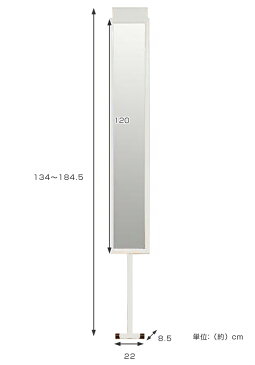 専用フロントミラー ハンガーラック SKシリーズ用 ( 送料無料 鏡 ミラー 姿見 全身鏡 完成品 全身ミラー 大型 伸縮 伸縮式 高さ調節 薄型 スリム ホワイト 白 )【3980円以上送料無料】