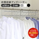 【当店限定カラー】ハンガー 衣類収納アップハンガー 幅50cm 2本組 収納 ( 衣類ハンガー クローゼット 省スペース 段違い 洋服 ハンガーラック コート収納 コート掛け 日本製 パイプハンガー 整理 衣替え 収納用品 )【3980円以上送料無料】