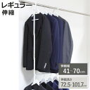 ハンガー 収納アップブランコハンガー 伸縮式 幅41~70×奥行9.3×高さ72.5~101.7cm ( ブランコハンガー 2段 クローゼット 吊り下げ 収納アップハンガー クローゼット収納 収納アップ 省スペース 収納 衣類収納 大容量 )【3980円以上送料無料】