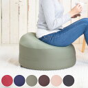 ビーズクッション クッション 極小ビーズ 幅55cm ( 送料無料 ビーズ ソファ 1人掛け 座椅子 洗える オットマン 一人用 もちもち カバー 洗濯OK )...