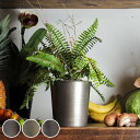 プランター MC円錐ポット 直径14×高さ14cm アイアン ( 植木鉢 プラントポット 植物用ポット 花瓶 花びん 花器 鉢カバー ポット 丸 円すい 卓上 スタンド 置く 植物 花 観葉植物 多肉植物 サボテン 園芸 直植え インテリア )【3980円以上送料無料】