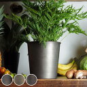 プランター MC円錐ポット 直径17×高さ17cm アイアン ( 植木鉢 プラントポット 植物用ポット 花瓶 花びん 花器 鉢カバー ポット 丸 円すい 卓上 スタンド 置く 植物 花 観葉植物 多肉植物 サボテン 園芸 直植え インテリア )【3980円以上送料無料】