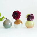 花瓶 DGポロベース 直径10×高さ10cm ガラス ( 花びん フラワーベース 花器 ガラス製 インテリア 雑貨 生花 ドライフラワー 植物 玄関 デスク 食...