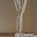 花瓶 割れないガラス PVシリンダー 直径15×高さ35cm ( 花びん 花器 シリンダー フラワーベース 透明 割れない 円筒 円柱 ポリカーボネート キャニスター クリア 花 植物 切花 フェイク グリーン 枝 インテリア おしゃれ )【3980円以上送料無料】