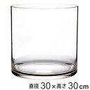 花瓶 PVシリンダー 直径30×高さ30cm ポリカーボネイト ( 送料無料 花びん 花器 フラワーベース 透明 割れない 丸 鉢 植木鉢 円筒 円柱 ポリカーボネート プラ クリア 花 植物 切花 花束 インテリア おしゃれ ) 【3980円以上送料無料】