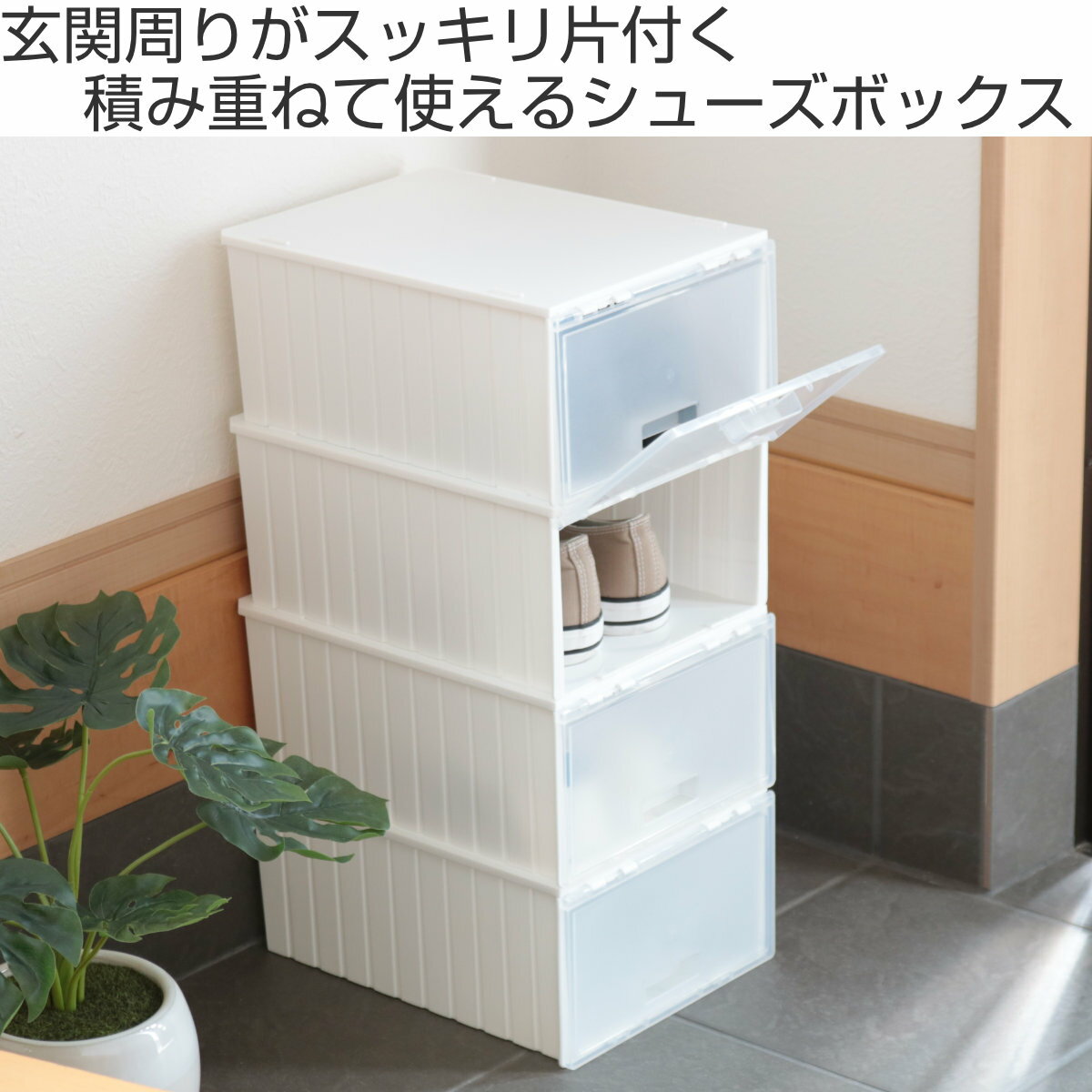 靴箱 シューズボックス i-Zucc 2個セッ...の紹介画像2