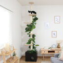 キャットタワー ねこの休ら木 ソラ 爪とぎ 突っ張り ( キャットツリー 猫タワー つっぱり 爪研ぎ キャットハウス スリム 省スペース おしゃれ インテリア ...