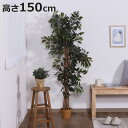 フェイクグリーン フィカス 高さ150cm ( 観葉植物 フェイク 人工観葉植物 木 樹 造花 風水 6号鉢対応 水やり不要 人工植物 グリーン おしゃれ イン...