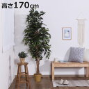 フェイクグリーン フィカス 高さ170cm ( 観葉植物 フェイク 人工観葉植物 木 樹 造花 風水 7号鉢対応 水やり不要 人工植物 グリーン おしゃれ イン...