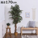 フェイクグリーン フィカス 高さ170cm 斑入り ( 観葉植物 フェイク 人工観葉植物 木 樹 造花 風水 7号鉢対応 水やり不要 人工植物 グリーン おしゃ...