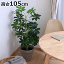 フェイクグリーン ヤドリフカノキ 高さ105cm ( 観葉植物 フェイク 人工観葉植物 木 樹 造花 風水 5号鉢対応 水やり不要 人工植物 グリーン おしゃれ...