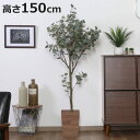 フェイクグリーン ユーカリ 高さ150cm ジョイント式 ( 人工観葉植物 大型 樹木 造花 人工樹木 観葉植物 アートグリーン 水やり不要 お手入れ簡単 植物...