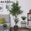 フェイクグリーン フィカス 高さ160cm ジョイント式 ( 人工観葉植物 大型 樹木 造花 人工樹木 観葉植物 アートグリーン 水やり不要 お手入れ簡単 植物...