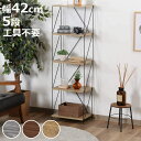 オープンラック 幅42cm 5段 簡単組み立て ワイヤーラック EZBO ( 工具不要 シェルフ ラック 棚 収納 ディスプレイラック 飾り棚 オープンシェルフ...