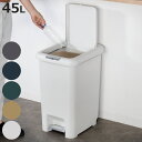 ゴミ箱 45L 2WAY ダストボックス （ ごみ箱 45リットル 幅33 ペダル式 プッシュ式 ふた付き 分別 角型 ワンプッシュ 大容量 キッチン 袋止め付 袋見えない 無地 シンプル ）【3980円以上送料無料】