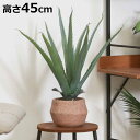 フェイクグリーン アロエ 高さ45cm セメントポット ( 観葉植物 フェイク 人工観葉植物 造花 植物 鉢植え アートグリーン 水やり不要 お手入れ簡単 リビ...
