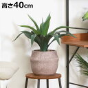 フェイクグリーン アガベ 高さ40cm セメントポット ( 観葉植物 フェイク 人工観葉植物 造花 植物 鉢植え アートグリーン 水やり不要 お手入れ簡単 リビ...